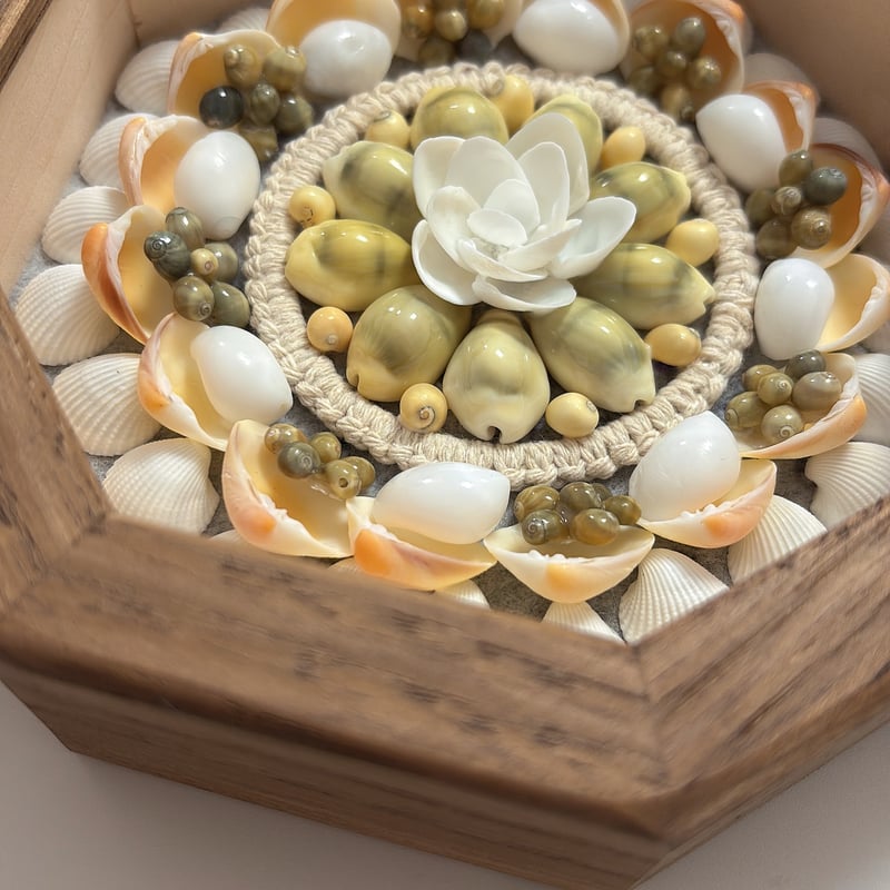 自然の貝殻でつくるインテリア シェルアートキット セーラーズ