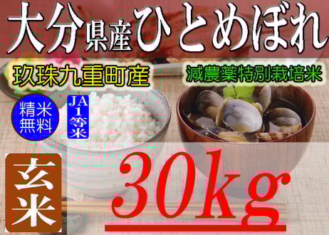有限会社 朝日食糧