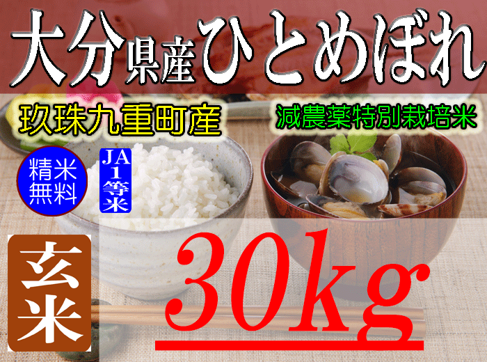 大分県玖珠九重産ひとめぼれ/玄米/30kg/令和5年産/JA1等米 /減農薬/特別栽培米/棚田米/玖珠米