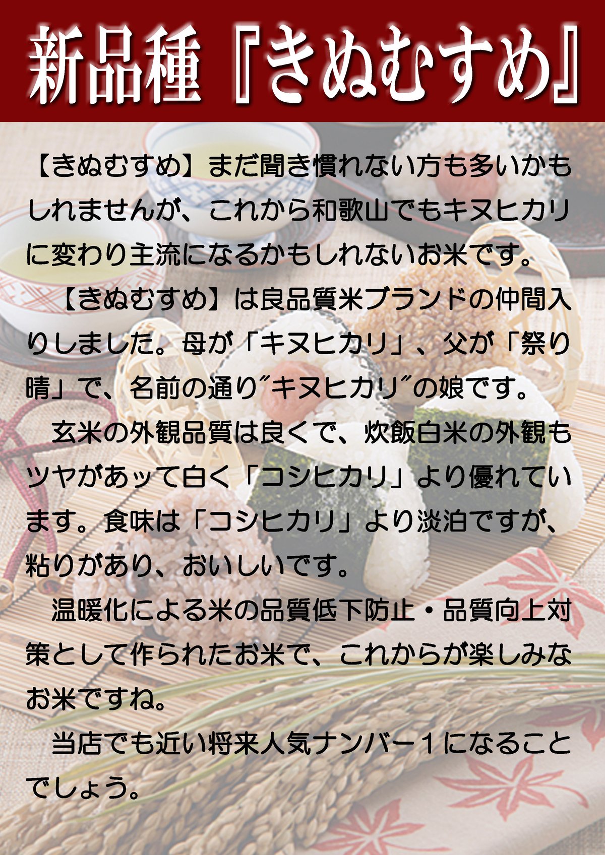 和歌山県産きぬむすめ/玄米/30kg/令和6年産 | 有限会社 朝日食糧 和歌山県産きぬむすめ/玄米/30kg/令和6年産 | 有限会社 朝日食糧