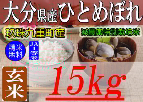 和歌山県産　玄米　20キロ 和歌山県産にこまる/玄米/20kg(10kg×2袋）/令和6年産 | 有限会社