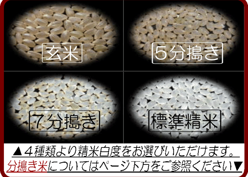 和歌山県産キヌヒカリ/玄米/30kg/令和5年産 | 有限会社 朝日食糧