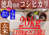 徳島県産コシヒカリ/玄米/30kg/1等米/令和5年産 | 有限会社 朝日食糧