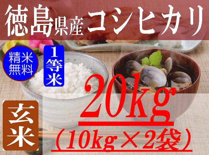 農家で食べているコシヒカリ 20kg 農家で食べているコシヒカリ 20kg