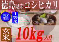 コロリ お米 岩手産ひとめぼれ 30kg  白米 米 岩手県産ひとめぼれ/玄米/30kg/令和6年産/JA1等米 | 有限会社