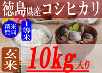 岩手県産ひとめぼれ/玄米/30kg/令和5年産/ＪＡ１等米 | 有限会社 朝日食糧