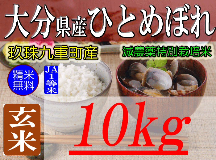 大分県玖珠九重産ひとめぼれ/玄米/10kg/令和7年産/JA1等米 /減農薬