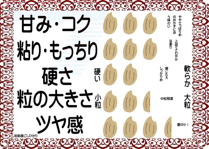 さくらんぼ　新潟県 ６年産 コシヒカリ 玄米22ｋｇ(11ｋｇ×2袋) 9/25最終発送】新潟県産 コシヒカリ 10kg(5kg×2) 令和6年産
