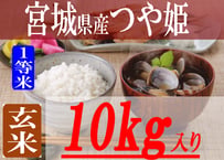 徳島県産コシヒカリ/玄米/30kg/令和7年産 | 有限会社 朝日食糧