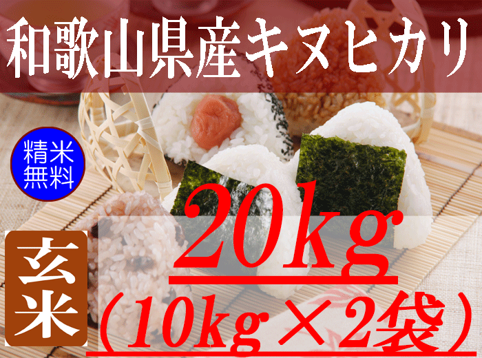 食品/飲料/酒キヌヒカリ 玄米 20kg 和歌山県産