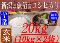 ひとめぼれ 10kg 玄米 群馬県産 ひとめぼれ 10kg 玄米 群馬県産 - 米・雑穀・粉類オンライン