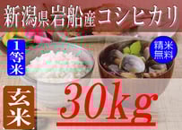 大分県玖珠九重産ひとめぼれ/玄米/10kg/令和6年産/JA1等米 /減