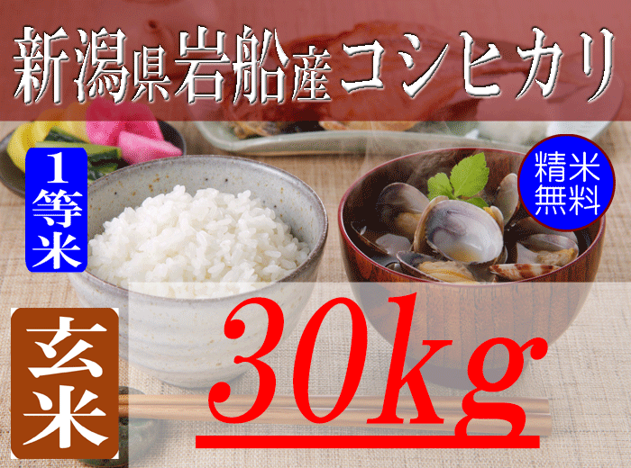 ★新米★令和6年 岐阜県産 コシヒカリ 玄米30kg 新潟県岩船産コシヒカリ/玄米/30kg/令和6年産 | 有限会社 朝日食糧