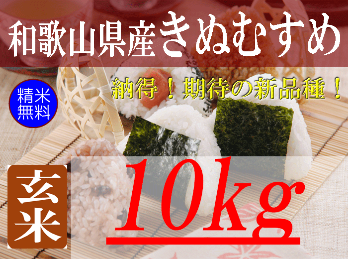 和歌山県産 キヌムスメ新米 玄米10kg - 米