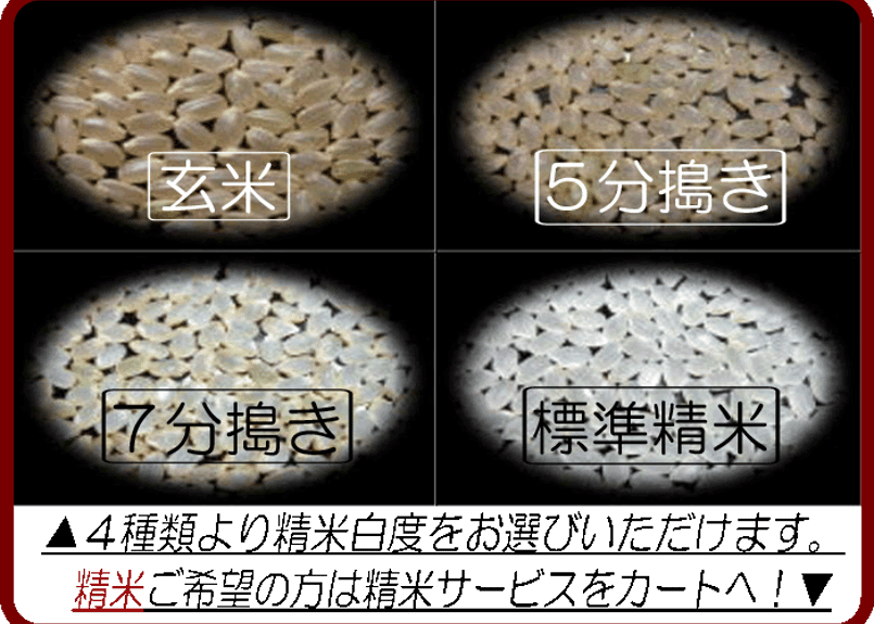 大分県玖珠九重産ひとめぼれ/玄米/30kg/令和6年産/JA1等米 /減 大分県玖珠九重産ひとめぼれ/玄米/30kg/令和6年産/JA1等米 /減