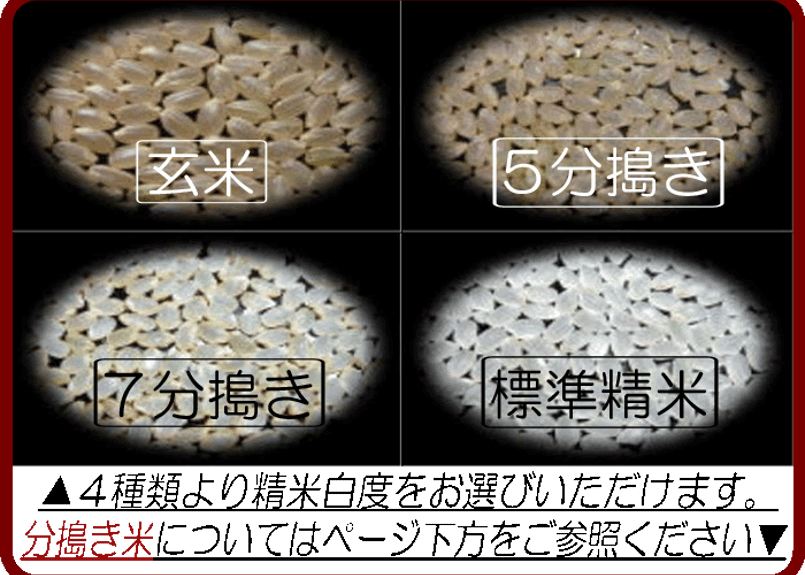 和歌山県産きぬむすめ/玄米/30kg/令和6年産 | 有限会社 朝日食糧 和歌山県産きぬむすめ/玄米/30kg/令和6年産 | 有限会社 朝日食糧