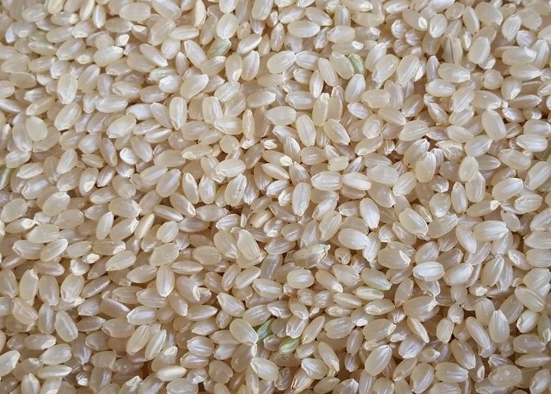 徳島県産コシヒカリ/玄米/30kg/令和7年産 | 有限会社 朝日食糧