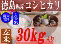 めぐ お米 岩手産ひとめぼれ 30kg  精米済 白米 米 7284270_00.jpg