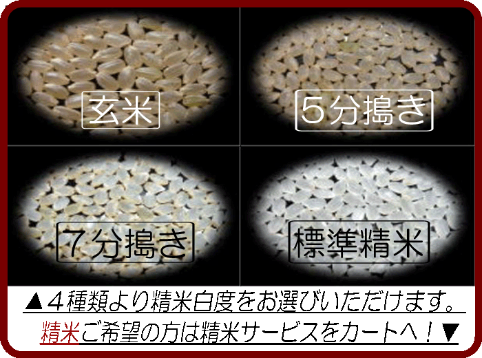 新潟県産コシヒカリ/玄米/15kg/令和6年産 | 有限会社 朝日食糧 新潟県産コシヒカリ/玄米/15kg/令和6年産 | 有限会社 朝日食糧