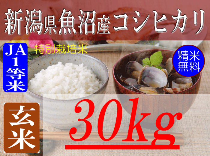 新潟県魚沼産コシヒカリ/玄米/30kg/2等米/令和5年産　有限会社　朝日食糧