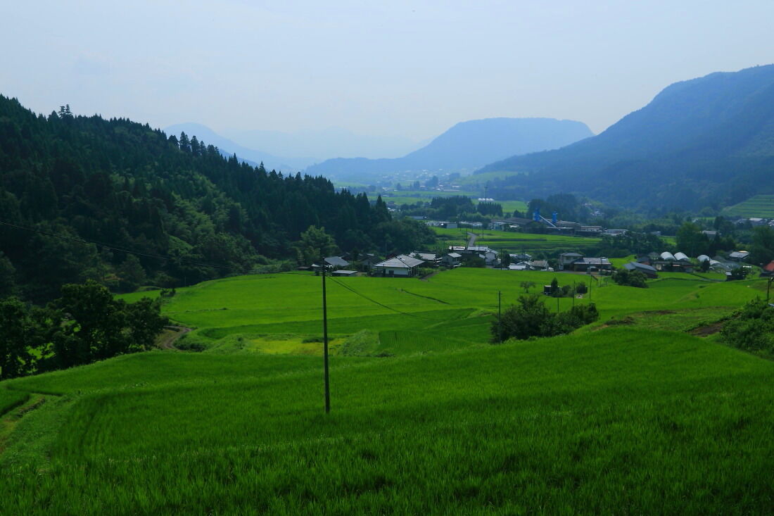 大分県玖珠九重産ひとめぼれ/玄米/10kg/令和7年産/JA1等米 /減農薬