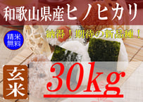 和歌山県産キヌヒカリ/玄米/30kg/令和6年産 | 有限会社 朝日食糧