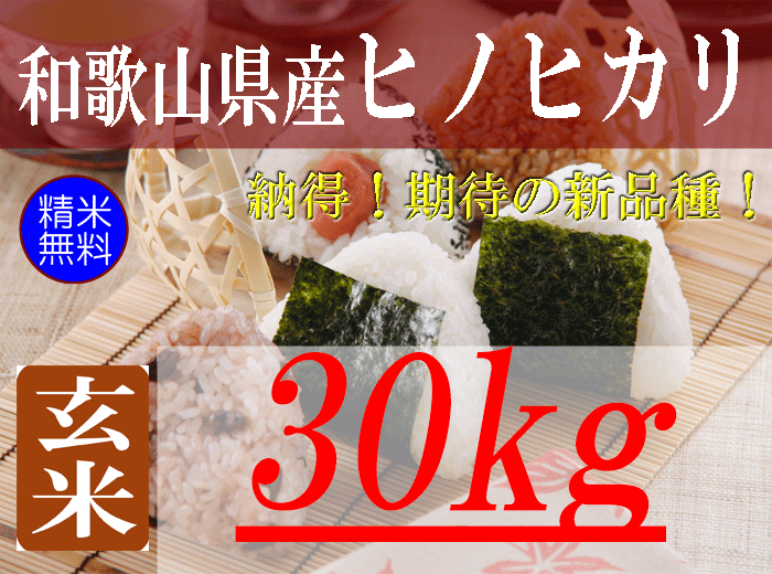 有限会社　和歌山県産ヒノヒカリ/玄米/30kg/令和5年産　朝日食糧