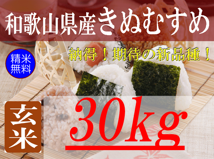 和歌山県産きぬむすめ/玄米/30kg/令和8年産 | 有限会社 朝日食糧