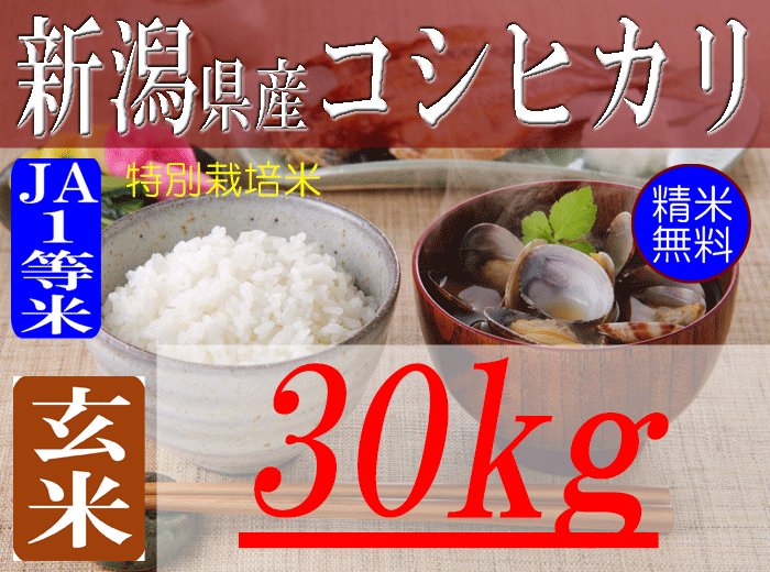 新潟県産コシヒカリ/玄米/30kg/令和5年産 | 有限会社 朝日食糧