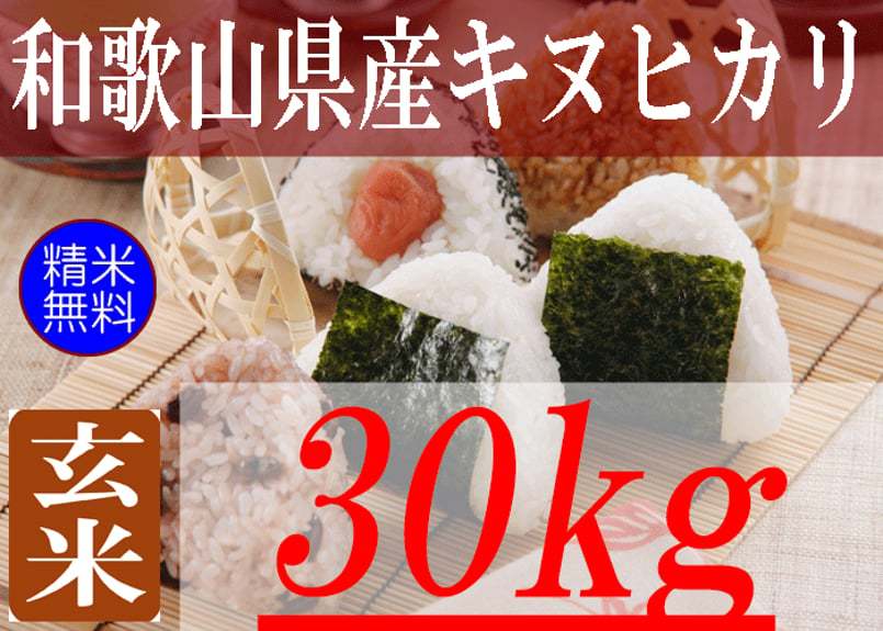 令和5年産　新米白米30Kg　和歌山産