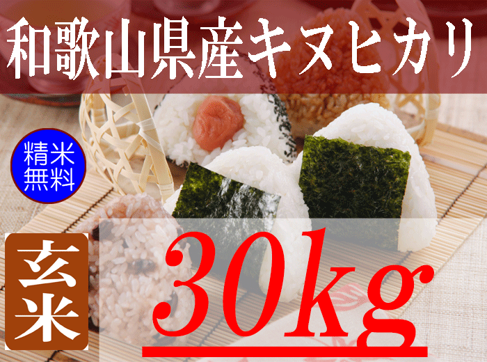 和歌山県産キヌヒカリ/玄米/30kg/令和8年産 | 有限会社 朝日食糧