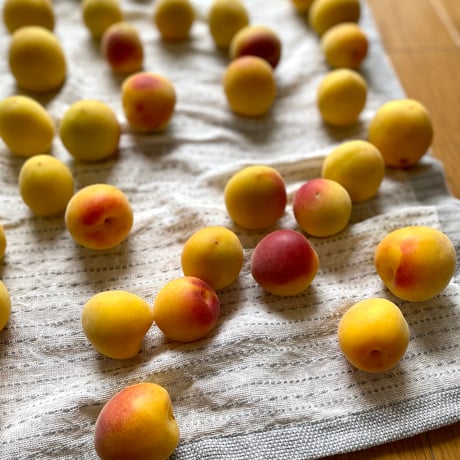 'Sashiko' Pattern Cloth