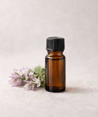 クラリセージ精油　10ml Clary Sage / Salvia sclarea