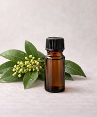リトセア精油　10ml Litsea / Litsea cubeba