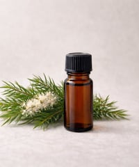 ティートリー精油　10ml Tea Tree / Melaleuca alternifolia