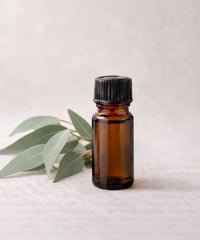 ユーカリ・ラディアタ精油　10ml Eucalyptus Radiata / Eucalyptus radiata