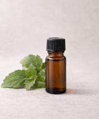 パチュリー精油　10ml Patchouli / Pogostemon cablin