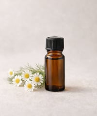 カモマイル・ローマン精油　10ml　Chamomile Roman / Chamaemelum nobile