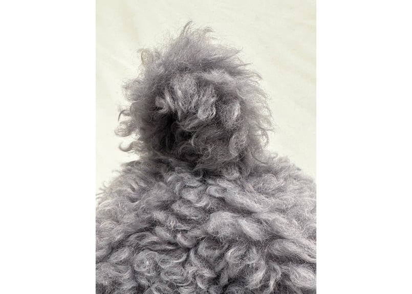 3色あり 🐩プードル ボア🐩 素材 次世代 3層構造 ポリエステル