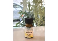 SeaAroma × BSH コラボ ロウリュ用 天然 アロマオイル アウフグース Loyly & Aufguss Aroma