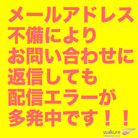 CATEGORY ヤマダ・マサミ | Walkure Store