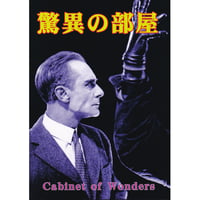 [書籍] 同人誌 驚異の部屋  Cabinet of Wonders