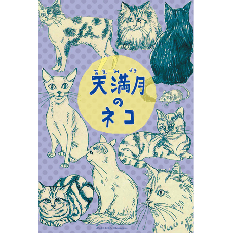 STORES 春の検索結果