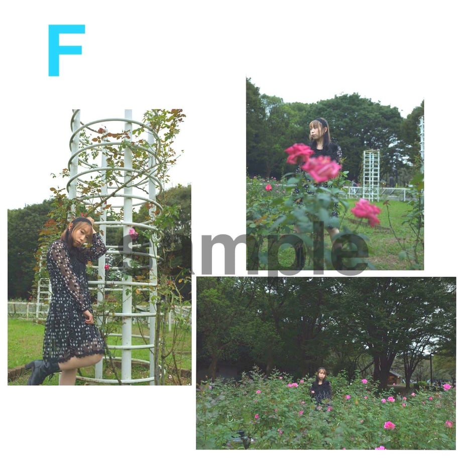 5eb3d4b551576266aafb3621