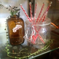 GLASS SPIRAL MUDDLER