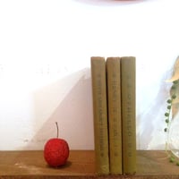 OLD SHAKESPEARE NOVEL