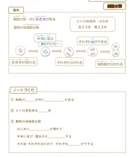 中学３年生　おためしセットC　社会と理科