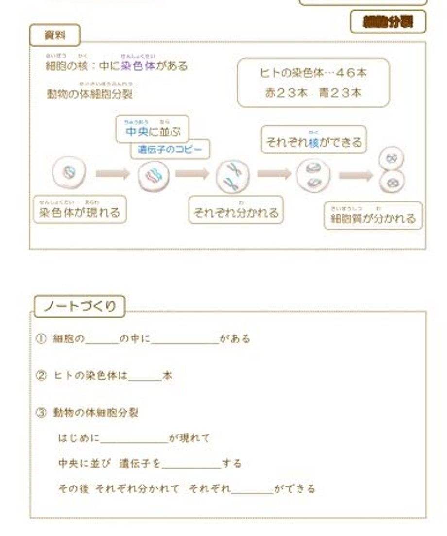 6480936cc99ac7002df8d72c