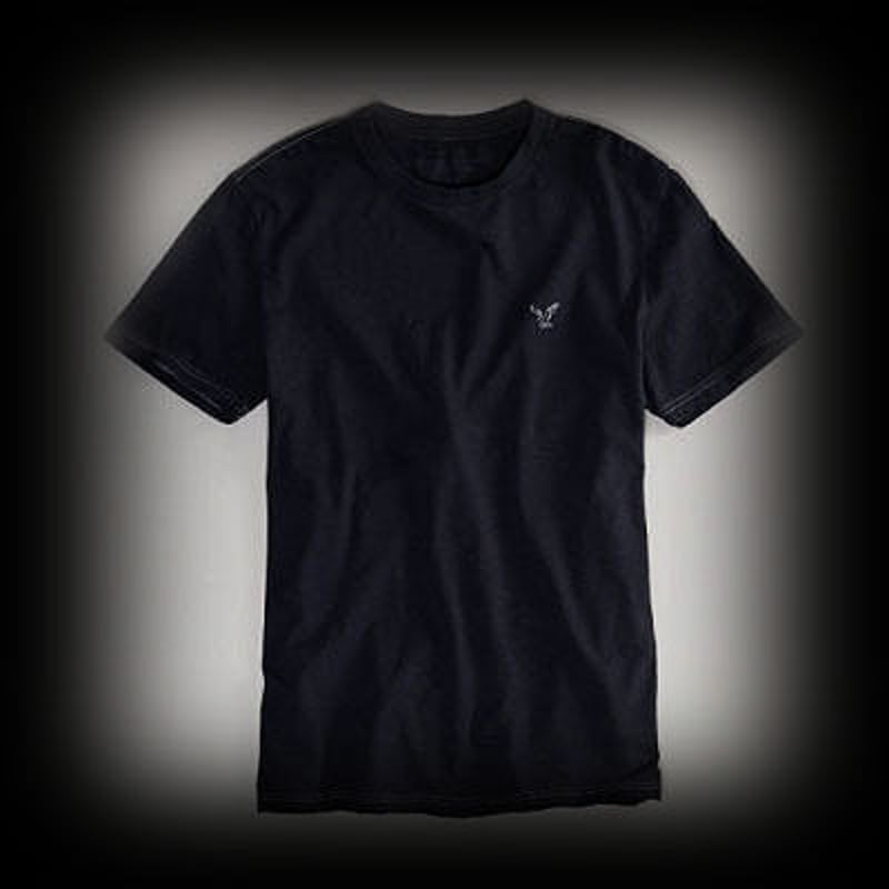 アメリカンイーグル メンズ AE Legend Crew Tシャツ | I.T.SHOPアバク