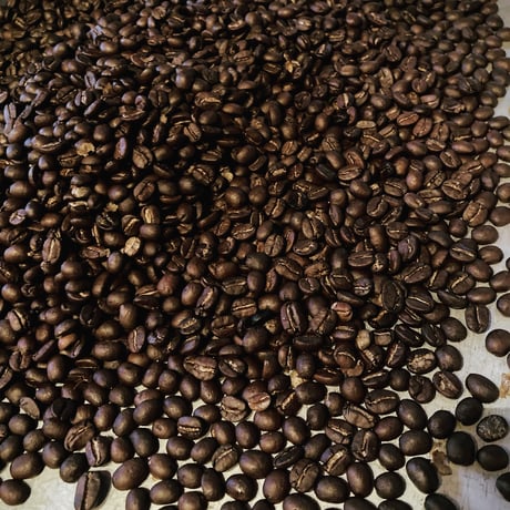 salamander coffee (サラマンダー コーヒー)  100g /自家焙煎/森の珈琲/ハンドロースト/アラビカ種/珈琲豆